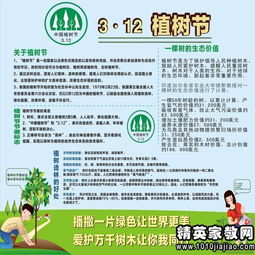 美麗的校園300字作文,美麗的校園國旗臺(tái),美麗的校園400字作文