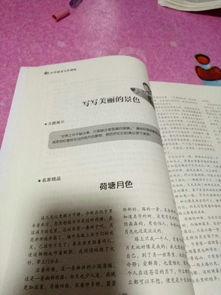 作文,家鄉,校園