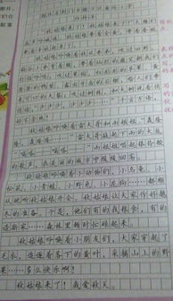 對校園風(fēng)景贊美的作文怎么寫(xiě)