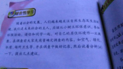 校園環(huán)境調查報告作文150字