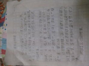 關(guān)于小學生四年級校園趣事的作文,四年級校園趣事作文怎么寫,四年級校園趣事的作文400字左右