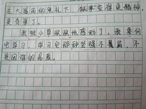 校園體育節作文開(kāi)頭,以體育精神主題的作文開(kāi)頭,綠色校園主題作文