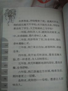 校園換新面孔作文200