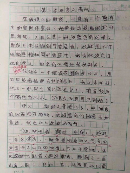 校園的讀書(shū)聲小學(xué)生作文