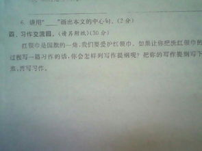 關(guān)于校園暴力和溺水的作文300字