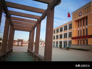作文,小學生,美景,校園