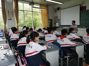 欺凌,作文,心得體會(huì ),校園