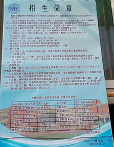 河北區紅權小學(xué)校園作文