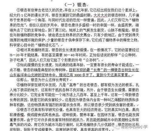 校園里那到亮麗的風(fēng)景線(xiàn)作文400字