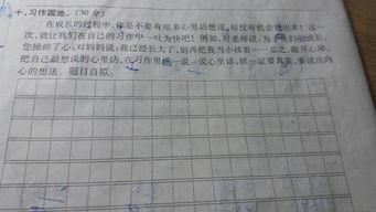 四級上語文作文校園