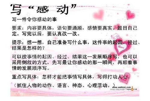作文,感動(dòng),校園,事寫(xiě)篇