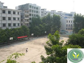山西省古交四小校園美景作文