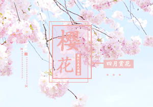 描寫(xiě)校園櫻花的作文,校園里的櫻花作文,描寫(xiě)校園櫻花的作文400字
