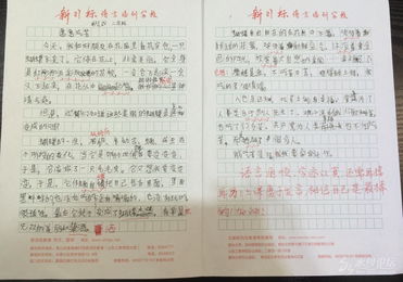 新的老師新的校園作文