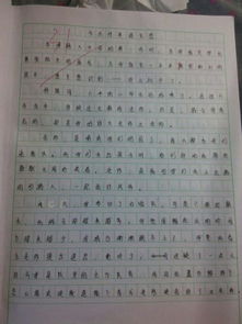 以打造最美校園助推環(huán)境升級作文