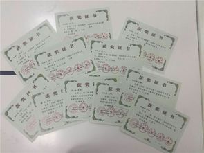 梅隴中學校園一隅作文400字