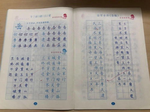 作文,五級,完美,校園