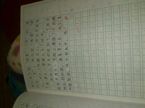 作文,字左右,進(jìn)校園,十四冬