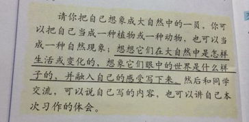 校園里的小草作文200字作文怎么寫(xiě)