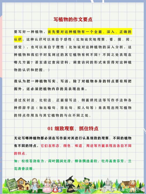 寫(xiě)美麗的校園的作文,如何寫(xiě)美麗的校園作文,美麗的校園寫(xiě)教學(xué)樓的作文