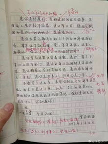 初入校園作文,校園作文800字初中,校園作文600字初中寫(xiě)事