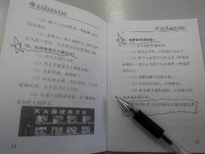 作文,心得體會,安全教育,校園