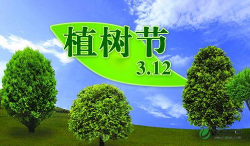 植樹(shù)節,作文,校園