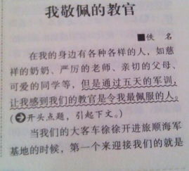 美麗的校園三年級作文300字左右,三年級美麗的校園作文300字,美麗的校園四年級作文300字