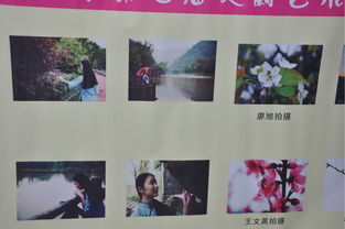 藝術(shù)點(diǎn)亮人生作文,青春勵志校園作文,藝術(shù)點(diǎn)亮生活作文