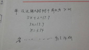 寫(xiě)校園里的大樹(shù)像士兵作文