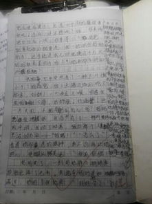 美與愛(ài)的校園作文開(kāi)頭結尾