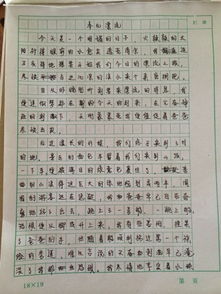 快樂的校園活動作文四百字左右作文大全