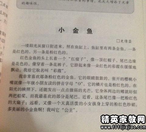 校園的趣事開(kāi)頭作文500
