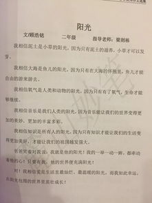 當(dāng)校園歌手大賽的觀眾作文