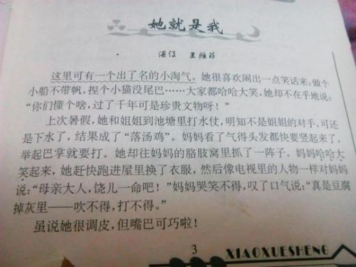 講解校園圖書(shū)館作文200字