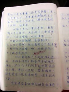 作文,秋天,校園