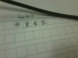 我愛(ài)我家校園作文600字
