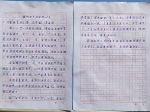 作文新校園圖書(shū)館500