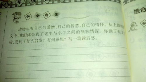 作文,發(fā)現,校園