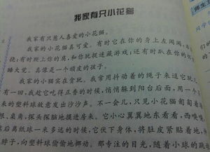 用總分總結構寫校園一角作文