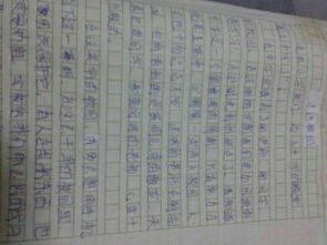 國學(xué)走進(jìn)校園作文
