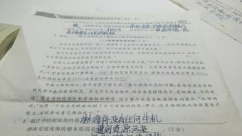 引用詩(shī)句描寫(xiě)春天的作文,引用詩(shī)句描寫(xiě)春天的作文開(kāi)頭,引用詩(shī)句描寫(xiě)春天的作文500字