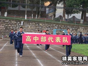 校園舞蹈運動(dòng)會(huì )初中作文