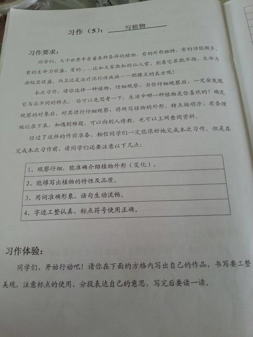 美麗的校園作文四百字四年級上冊,美麗的校園寫(xiě)景四百字四年級,美麗的校園作文400字左右四年級上冊