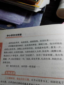 校園的活動(dòng)300字左右,有趣的校園活動(dòng)300字,校園活動(dòng)日記300字