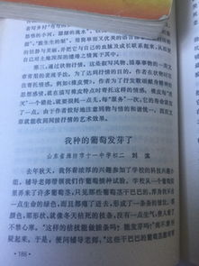 關(guān)于校園作文1000字,我們校園的作文1000字,平安校園作文1000字左右
