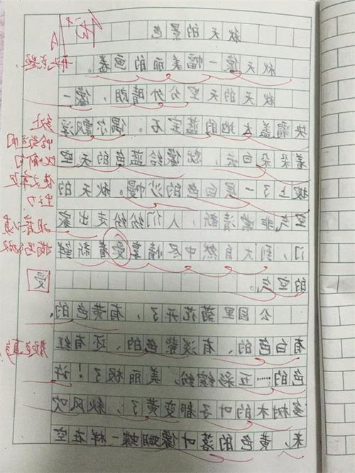 小學(xué)三級寫(xiě)校園景物的作文