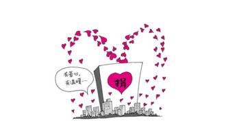 校園的捐款活動(dòng)作文