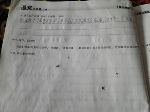 三級夏天的校園150字作文怎么寫(xiě)