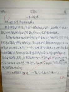 有關(guān)我青春我成長(cháng)的校園作文